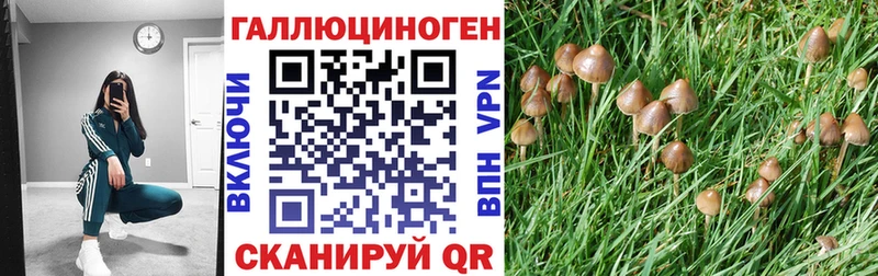 Галлюциногенные грибы Magic Shrooms Чебаркуль
